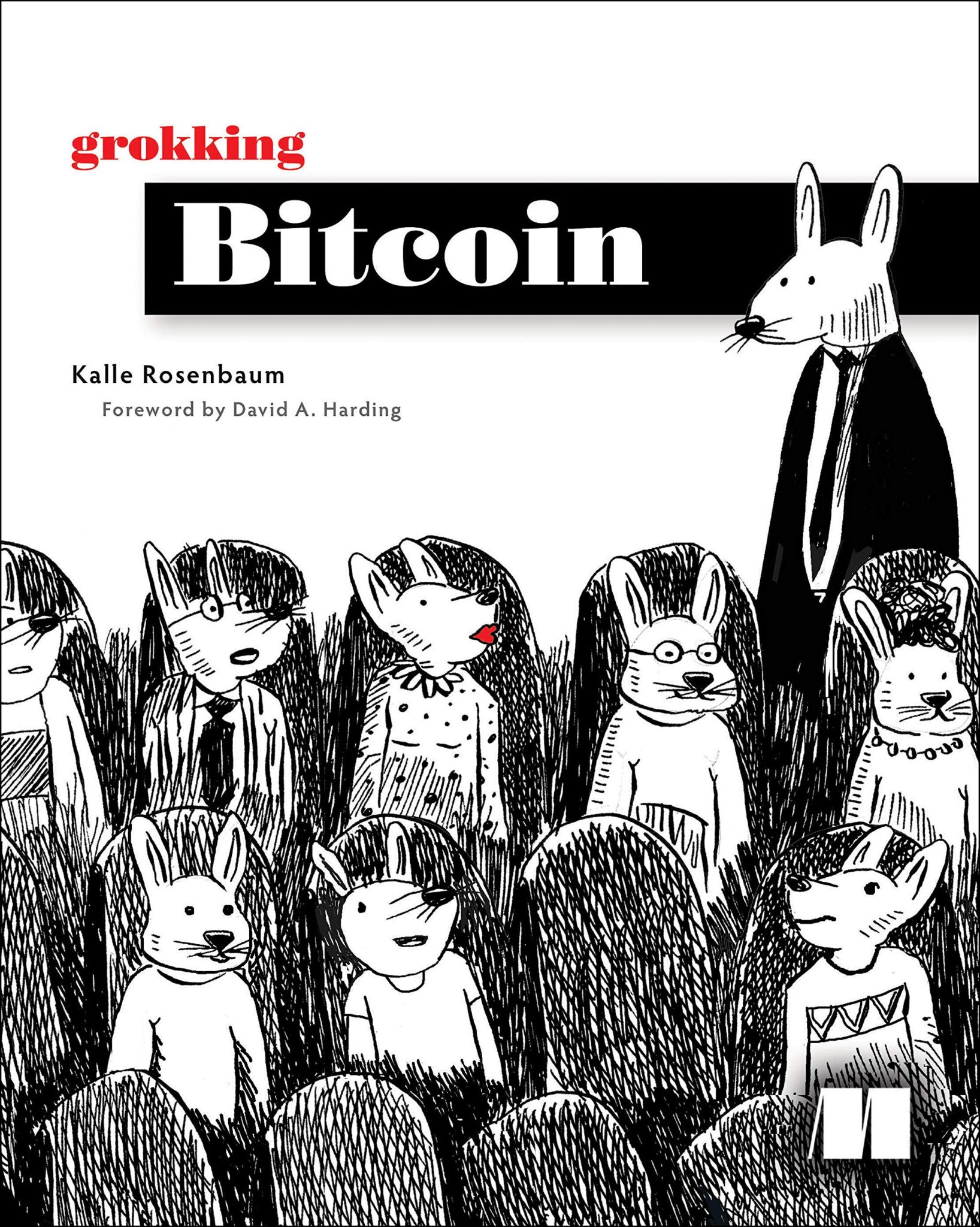 grokking bitcoin